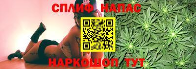 гашик Нарткала